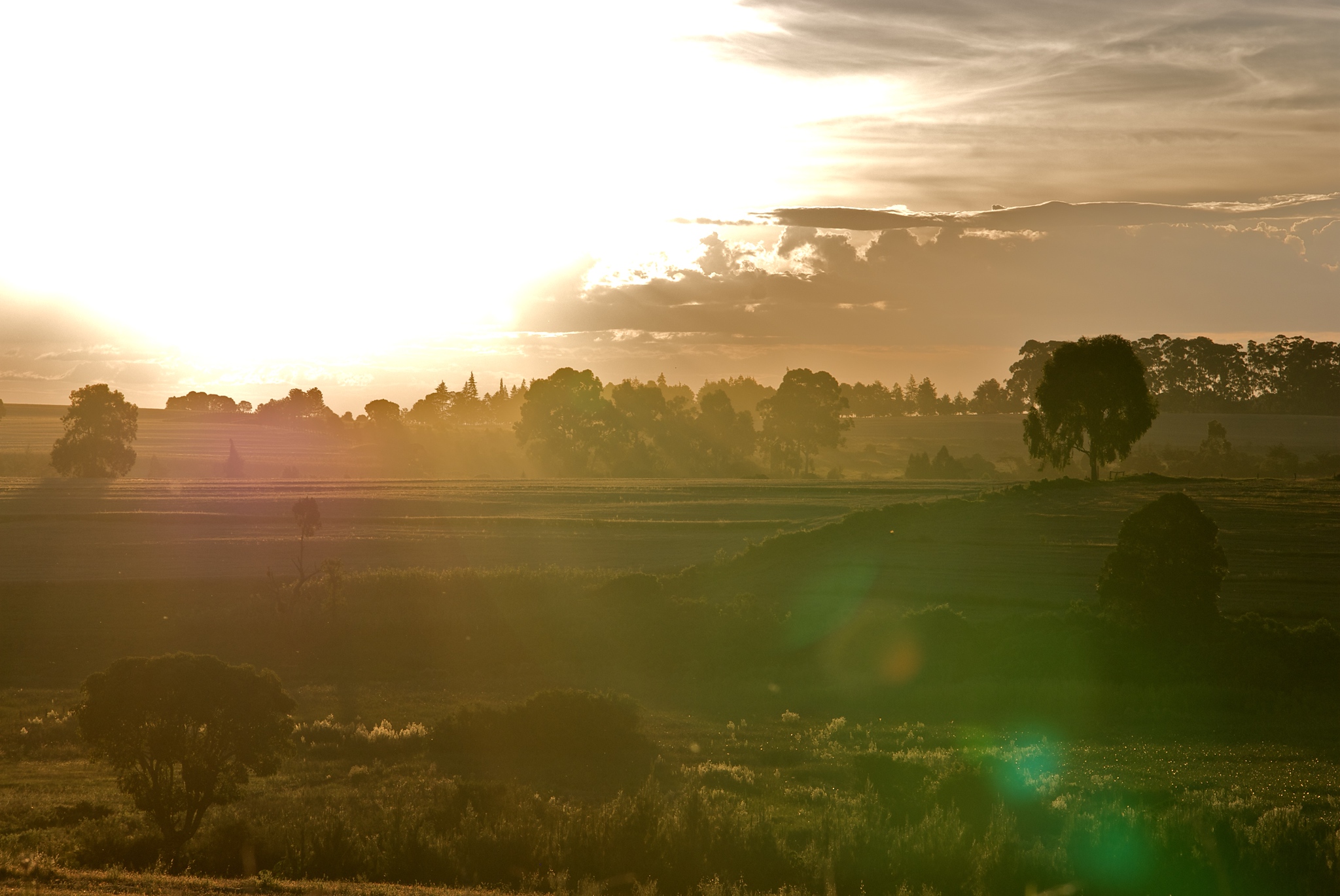 DSC_3011-X4 Give to a Missionary